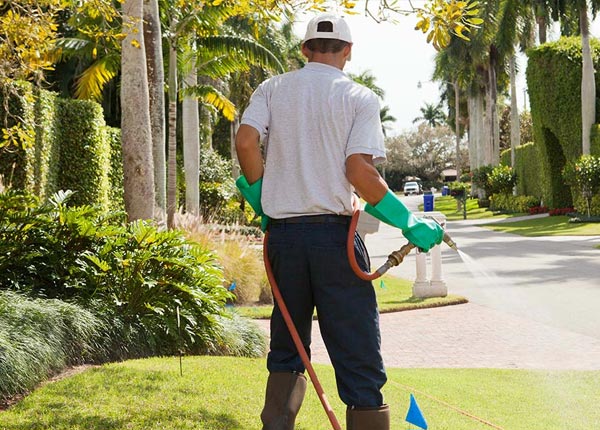 About Prather CA Pest Control Pros